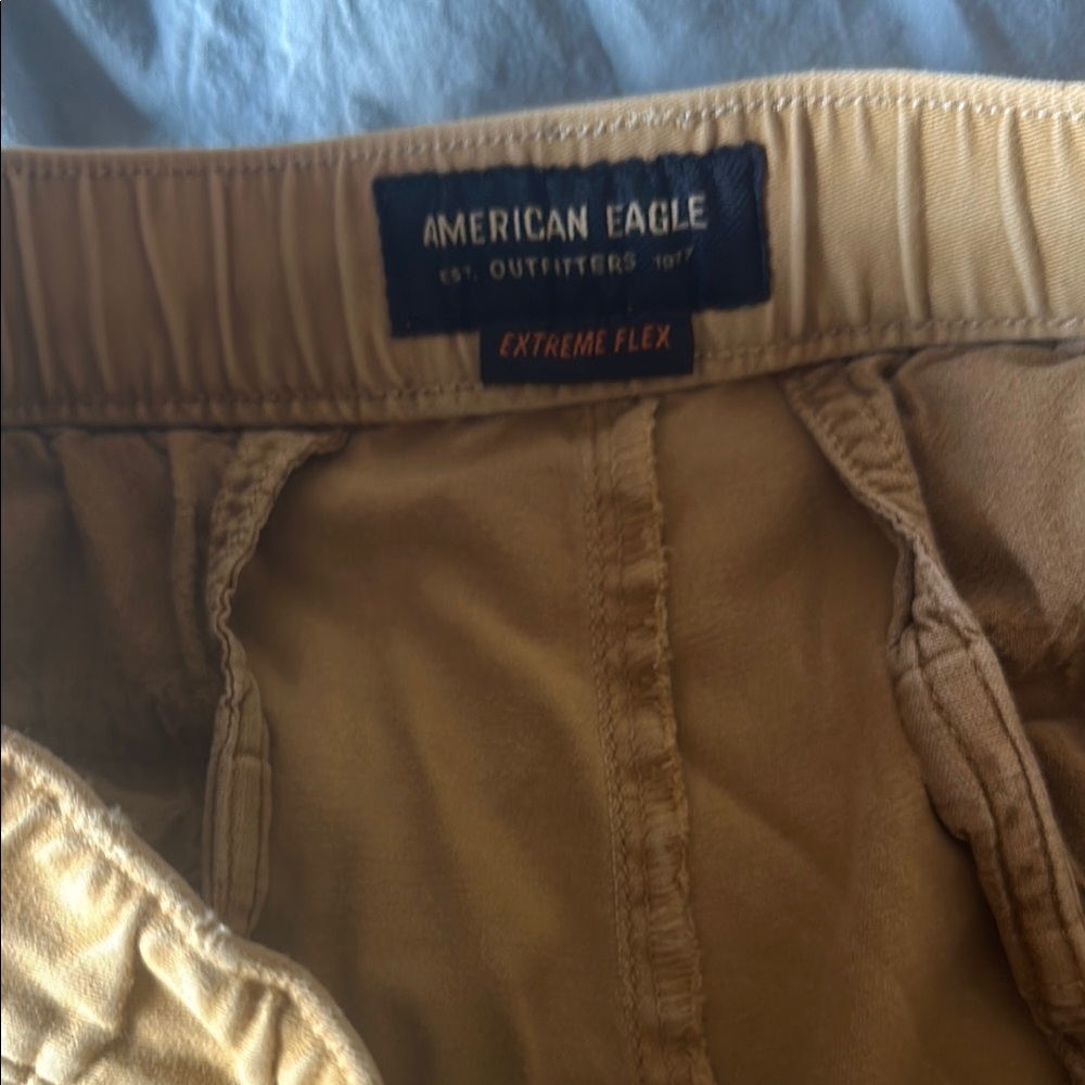 American Eagle Outfitters Tan Sweatpants
